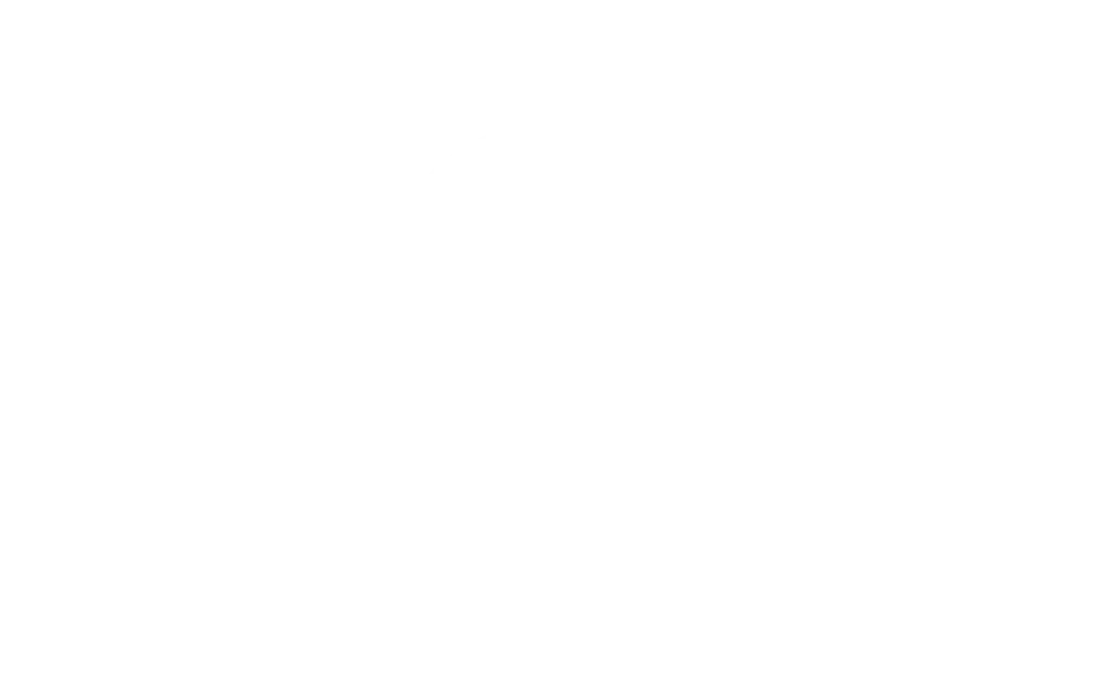 Logo Ray Menstore